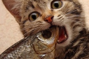 爱游戏ayx-“2025世界运动会：高新体育中心健力赛事精彩纷呈，选手激情四溢”