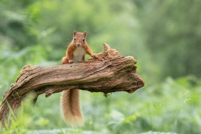 爱游戏体育网页版-CBA联盟推广俱乐部青训标准化管理，cba青训体系