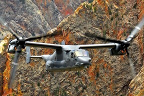 爱游戏网页版-“诺克·达维德·彼得森领衔南非羚羊队，助力晋级世界杯”