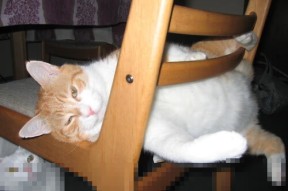 爱游戏多端接入-中超联赛国家队迎战 球迷积极互动分析，中超国足分析