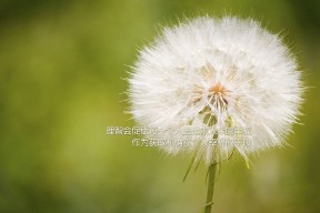 爱游戏体育账号注册-“华金·托比利亚的敏捷防守与精准传球，为美洲狮队带来重要胜利”