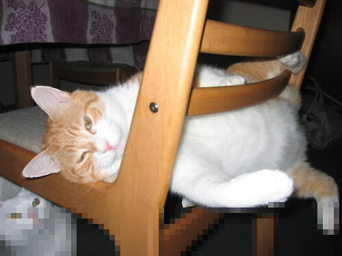 中超联赛国家队迎战 球迷积极互动分析，中超国足分析